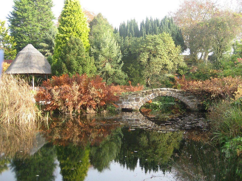 a brief glimpse at the stunning Ness Botanic Gardens, with a cute little bridge over a flowing stream